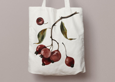 Hand Painted Rosehip Watercolor PNG Clipart Set Product Image 5