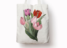 Hand Painted Tulip Flower PNG Clipart | Sublimation Design Product Image 6