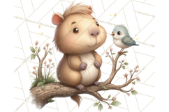 Whimsical Capybara Clip Art PNG for Cozy Hygge Prints Product Image 5