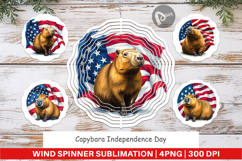 Wind Spinner Capybara 4th of July Product Image 1