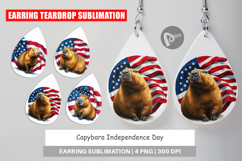 Earring Capybara 4th of July Product Image 1
