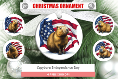 Ornament Capybara 4th of July Product Image 1