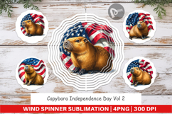 Wind Spinner Capybara 4th of July Product Image 1