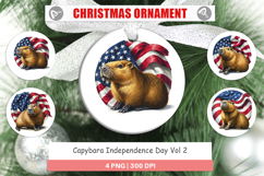 Ornament Capybara 4th of July Product Image 1