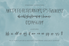 Caravanner Script Product Image 10