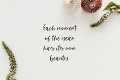 Cardigan Script Product Image 3