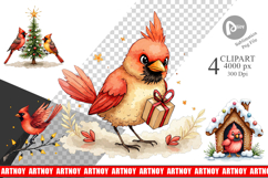 Cardinal Christmas Bird Clipart Product Image 1