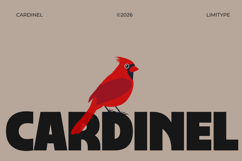 Cardinel - Bold Font Product Image 1