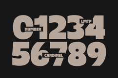 Cardinel - Bold Font Product Image 11
