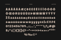 Cardinel - Bold Font Product Image 12