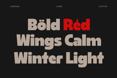 Cardinel - Bold Font Product Image 4