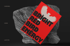 Cardinel - Bold Font Product Image 5