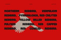 Cardinel - Bold Font Product Image 6
