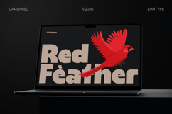 Cardinel - Bold Font Product Image 7