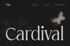 Cardival Modern Luxury Bold Serif Font Product Image 1