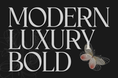 Cardival Modern Luxury Bold Serif Font Product Image 2