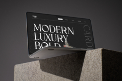 Cardival Modern Luxury Bold Serif Font Product Image 5