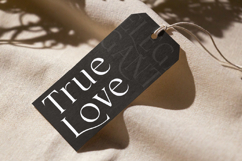 Cardival Modern Luxury Bold Serif Font Product Image 6