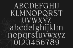 Cardival Modern Luxury Bold Serif Font Product Image 9