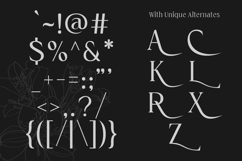 Cardival Modern Luxury Bold Serif Font Product Image 10