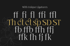 Cardival Modern Luxury Bold Serif Font Product Image 11