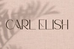 Carl Elish Font Product Image 9