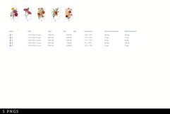 Carnations Vintage Floral Botanical Clip Art Product Image 3