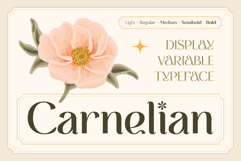 CARNELIAN - Display Floral Variable Typeface Product Image 1