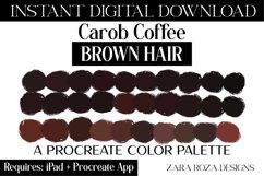 Carob Coffee Brown Hair Colors Procreate Color Palette Product Image 1