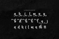 Carolights - Handwritten Script Font Product Image 5