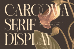 Caroowa - Modern Serif Display Product Image 1