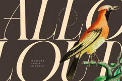 Caroowa - Modern Serif Display Product Image 8