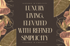 Caroowa - Modern Serif Display Product Image 11