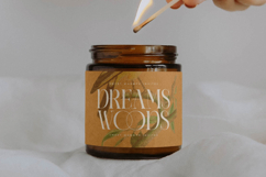 Caroowa - Modern Serif Display Product Image 12