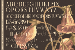 Caroowa - Modern Serif Display Product Image 18