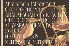 Caroowa - Modern Serif Display Product Image 19