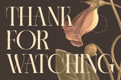 Caroowa - Modern Serif Display Product Image 20