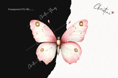 Watercolor Pink Carousel Clipart Product Image 2