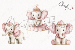 Watercolor Pink Carousel Clipart Product Image 3