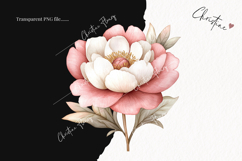 Watercolor Pink Carousel Clipart Product Image 2