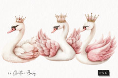 Watercolor Pink Carousel Clipart Product Image 1