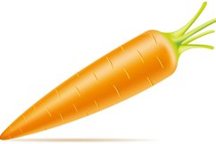 set of icons fresh vegetables vector illustration Product Image 3