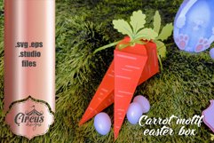 Carrot easter box Product Image 2