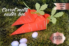 Carrot easter box Product Image 1
