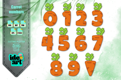 Carrot Numbers Product Image 1
