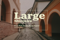 Carsito Tember Bold Retro Slab Serif Vintage Font Product Image 2