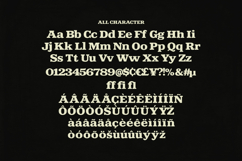 Carsito Tember Bold Retro Slab Serif Vintage Font Product Image 6