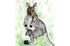 Kangaroo drawing Product Image 2