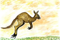 Kangaroo drawing Product Image 1