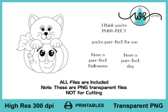 Cartoon Pumpkin &amp; Kitty, Pumpkin, Cat, Halloween, Autumn Cat Product Image 2